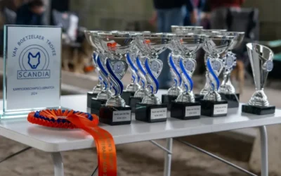 Kampioenschap Club Match