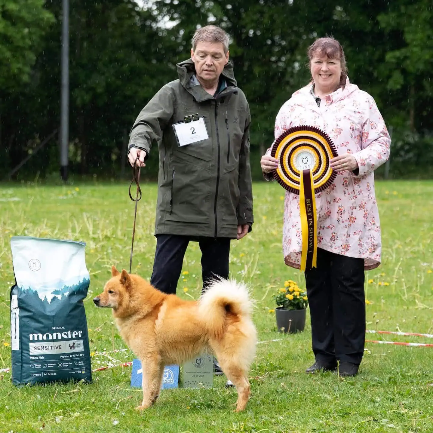 Best In Show 2026